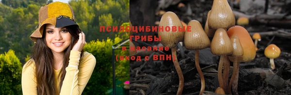 PSILOCYBIN Абаза