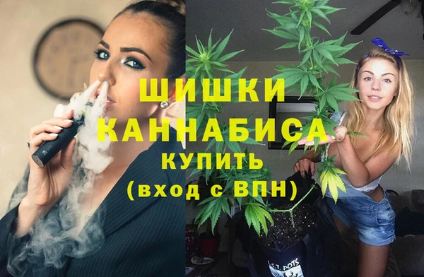 PSILOCYBIN Абаза