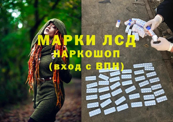 PSILOCYBIN Абаза