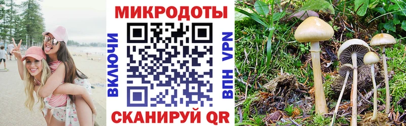 Псилоцибиновые грибы мицелий  закладки  Химки 